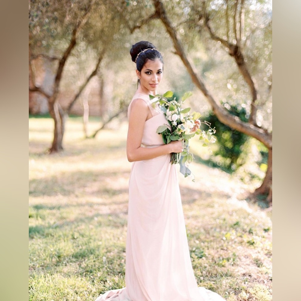 NWOT Max Mara Dusty Pink Chiffon Gown Size US 8